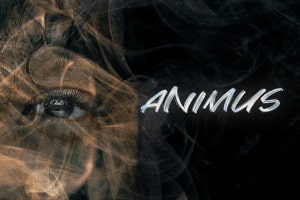 Cover for Animus