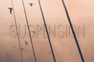 Cover for Suspension